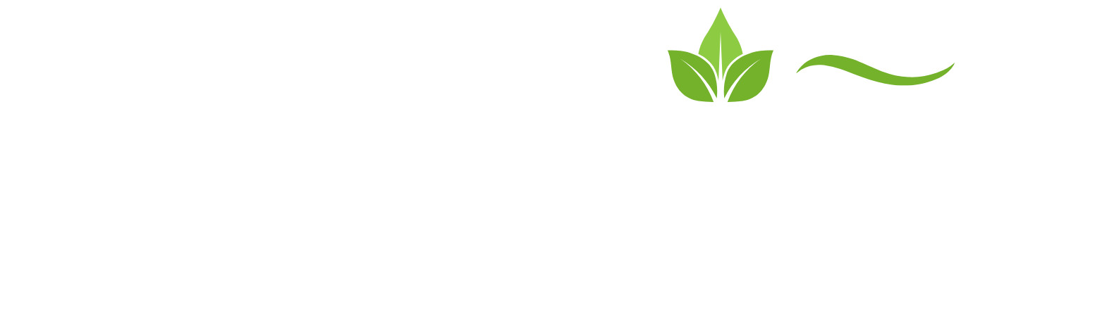 Dinh Dưỡng Lành Mạnh